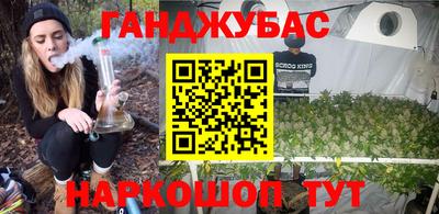 ешки Новодвинск