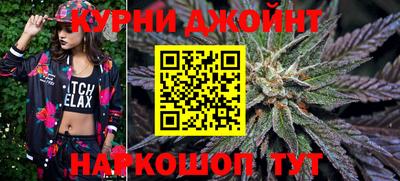 ешки Новодвинск