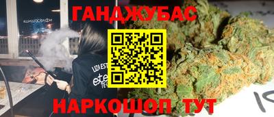 ешки Новодвинск