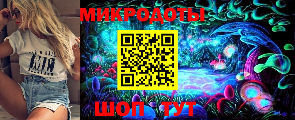 Галлюциногенные грибы Psilocybine cubensis Санкт-Петербург